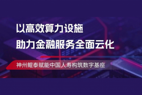 tanqiuba实践丨神州助力中国人寿构筑数字基座