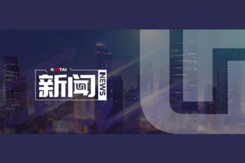 AI革新加速，谈球吧数码2024全年毛利额营收逆势双升