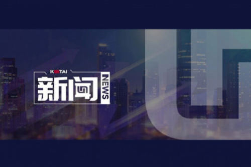 AI驱动新增长，扣非净利提升10%，谈球吧数码2025一季度稳健开局